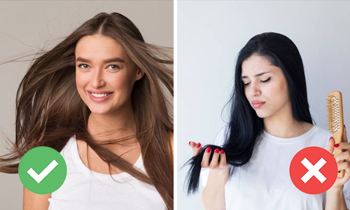 Does Mielle Hair Oil Cause Hair Loss | Know Before Buy!